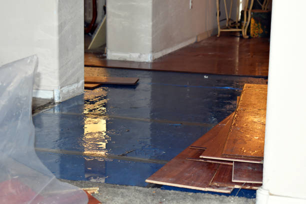 Professional Burst Pipe Cleanup technician working in Humarock, MA